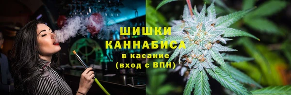 индика Карпинск