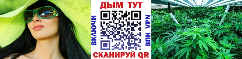 Купить где  Макарьев  МАРИХУАНА индика 